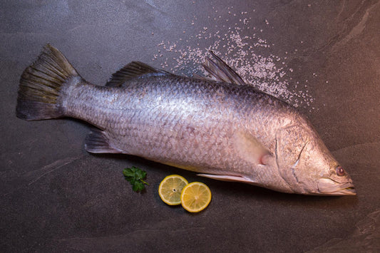 CEYLON KODUVA                   சிலோன்~கொடுவாமீன்       [1மீன்=3Lb~சராசரி]                                                 (Per/Lb)