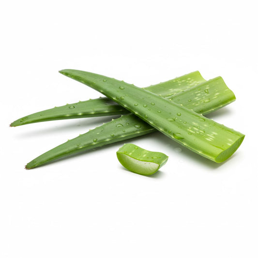 ALOEVERA  -  கற்றாழை. (EACH)