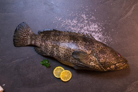 CEYLON KALAVAI     சிலோன்~கலவாய்மீன்  [1மீன்=4.5Lb~சராசரி]                              (Per/Lb)