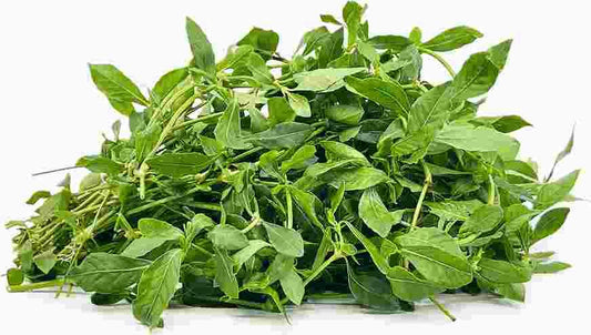 PONNANGANNI  -  பொன்னாங்கண்ணி (1/2 Lb)