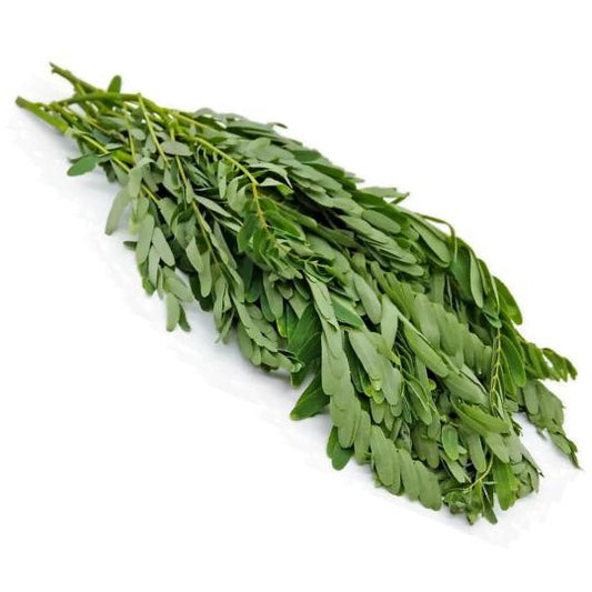 AGATHI LEAVES  -  அகத்தியிலை