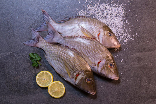 CEYLON WHITE~SNAPPER                            சிலோன்~விளைமீன்                          [1மீன்=2Lb~சராசரி]                              (Per/Lb)
