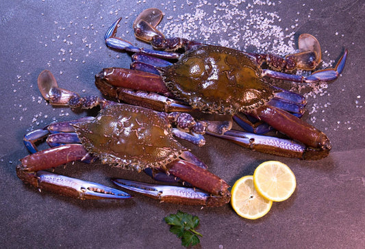 CEYLON CRAB~Male                         சிலோன்~நண்டு~ஆண்                         [1நண்டு=0.8LB~சராசரி]                     (Per/Lb)