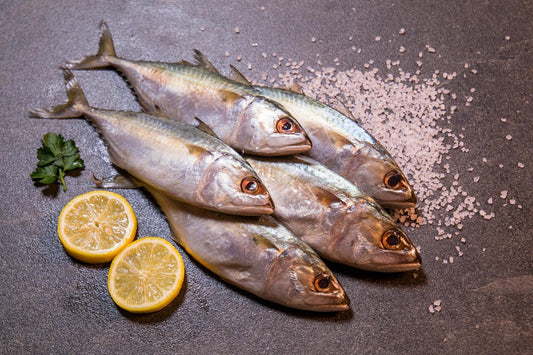 CEYLON KUMLAPAARAI        சிலோன்~கும்லாபாறை [3மீன்=1Lb~சராசரி]                                  (Per/Lb)