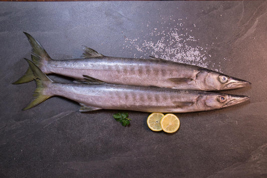 CEYLON SHEELA             சிலோன்~சீலாமீன்        [1மீன்=3Lb~சராசரி]                            (Per/Lb)