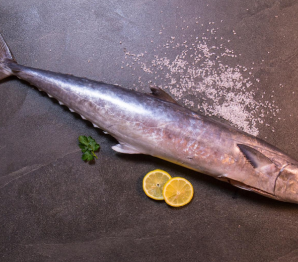 KING FISH SLICES - கிங் மீன் துண்டுகள் - 3Slices=1Lb~சராசரி (Per/Lb)