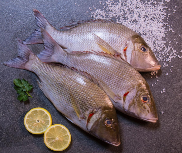 CEYLON WHITE SNAPPER - சிலோன் விளைமீன் - 1மீன்=2Lb~சராசரி (Per/Lb)