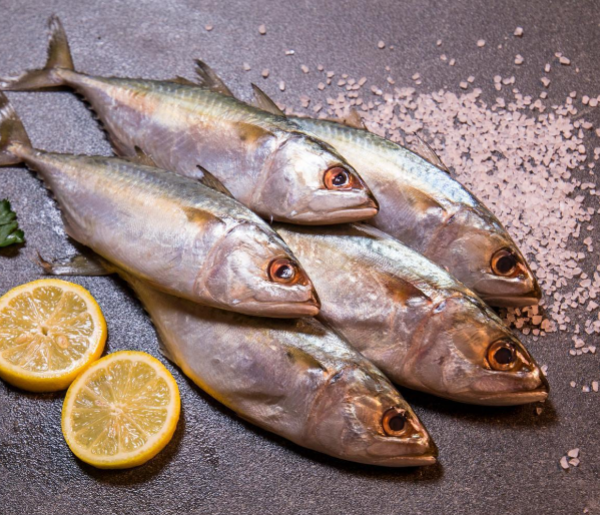 CEYLON KUMLAPAARAI - சிலோன் - கும்லாபாறை - 3மீன்=1Lb~சராசரி (Per/Lb)