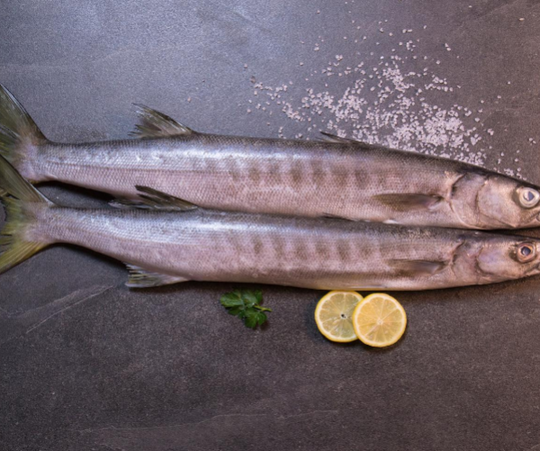 CEYLON SHEELA - சிலோன் சீலாமீன் - 1மீன்=3Lb~சராசரி (Per/Lb)